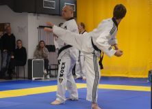 P1040308_900_650