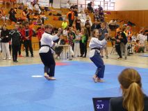 P1020295_900_675