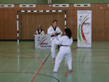 P1060392