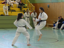 P1060393