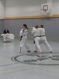 P1010369_675_900